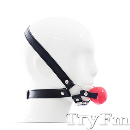 Simple Harness Ball Gag