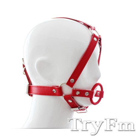 Head Harness with Ring Gag