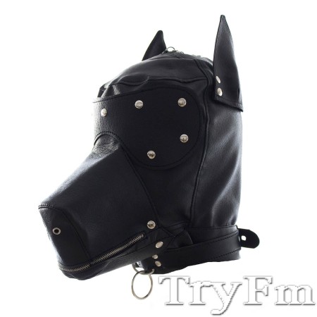BDSM Hood with Removable Muzzle