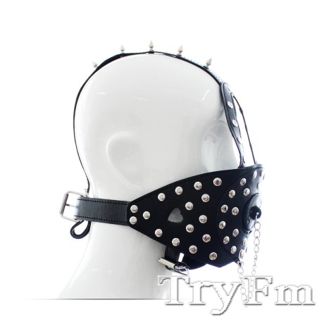 Open Mouth Head Harness