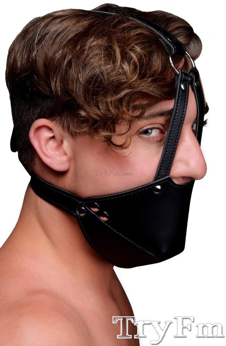 Mouth Harness with Ball Gag