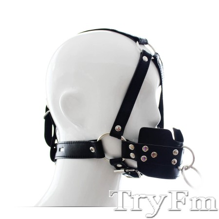 Linkable harness ball gag