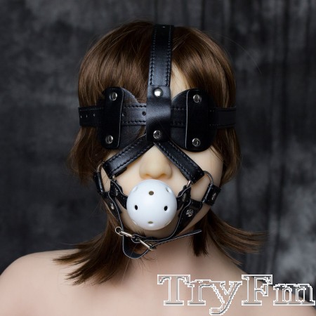 Gag and Blindfold Head Harness