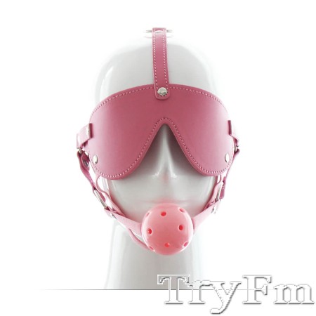 Easy Blindfold Harness Ball Gag