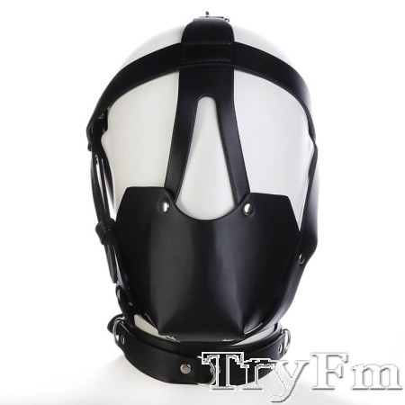 Whole head harness with breathable ball gag