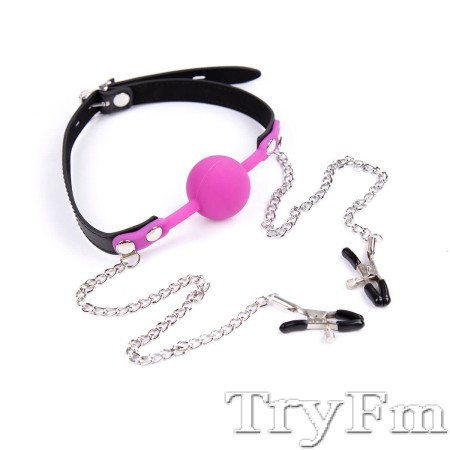 Ball gag with nipple clamp