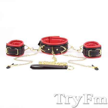 Padded Collar with cuffs and clamps