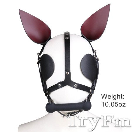 Head Harness With Ears 