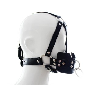 Linkable harness ball gag