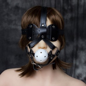 Gag and Blindfold Head Harness