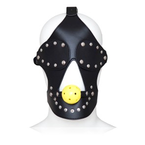 Face Covered Harness Ball Gag