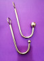 anal hook