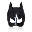 Sexy Evil Catwoman (