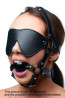 Blindfold Harness Ball Gag 