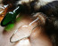 ANIMAL TAIL GLASS BUTT PLUG