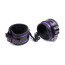 Glossy Purple Set 