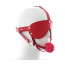 Easy Blindfold Harness Ball Gag