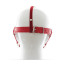 Easy Blindfold Harness Ball Gag