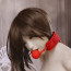 Soft Touch Red Restraints with a ball gag