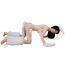 Furry White Costume 5 kits
