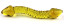 Yellow glass snake 