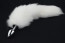 White fox tail with stainless steel gold plug
