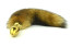 Natural red fox tail with stainless steel gold spiral plug