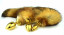Natural red fox tail with stainless steel gold plug