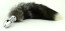 Nature black tail 