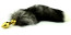 Nature black tail 