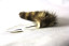 Animal Tail Small Glass Butt Plug